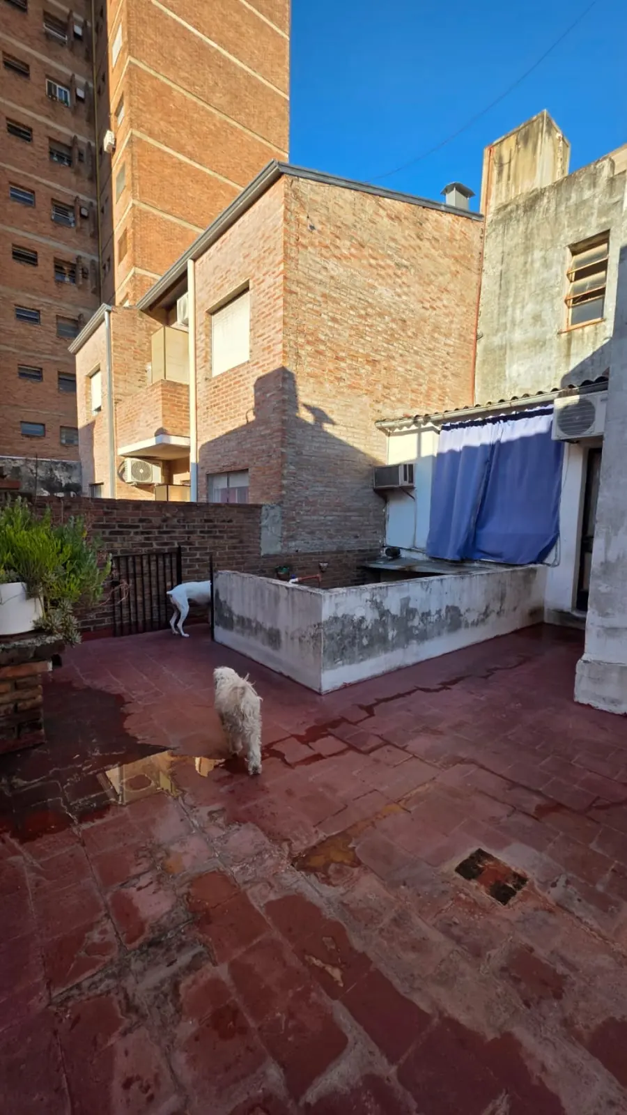 Casa en Venta en Santa fe - foto 3